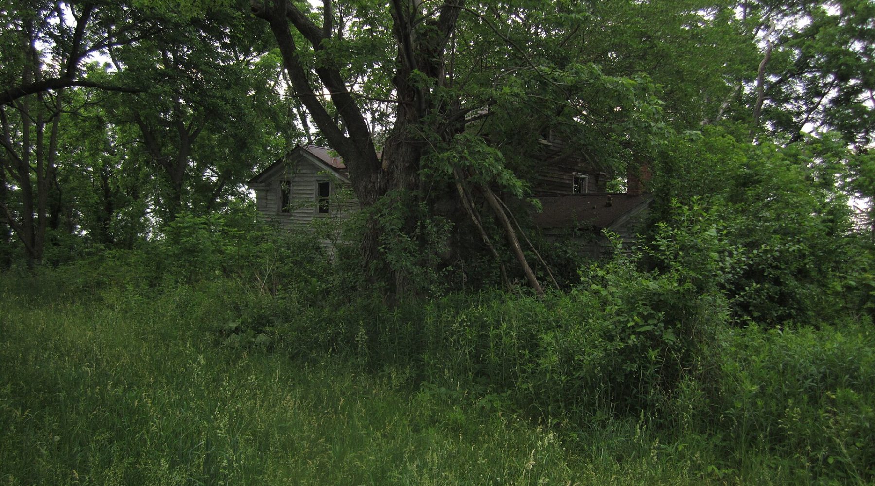 Abandoned overgrown farmhouse