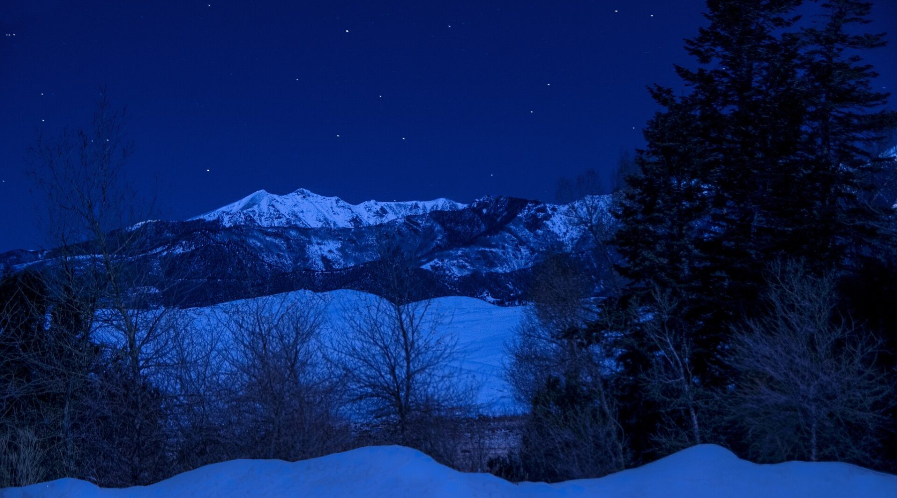 Snowy forest and mountain at night with stars